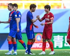 上海上港胜平负占据积分榜前二位的简单介绍